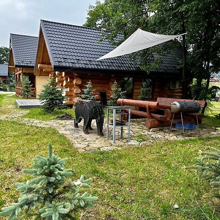 Chalet Pidstromom Villa Mykulychyn Exterior photo