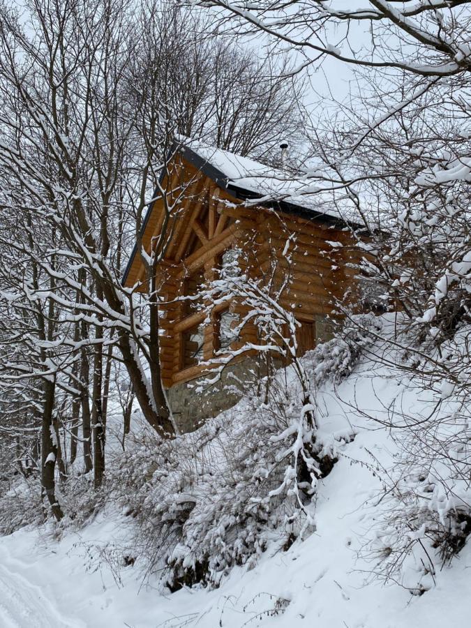 Chalet Pidstromom Villa Mykulychyn Exterior photo